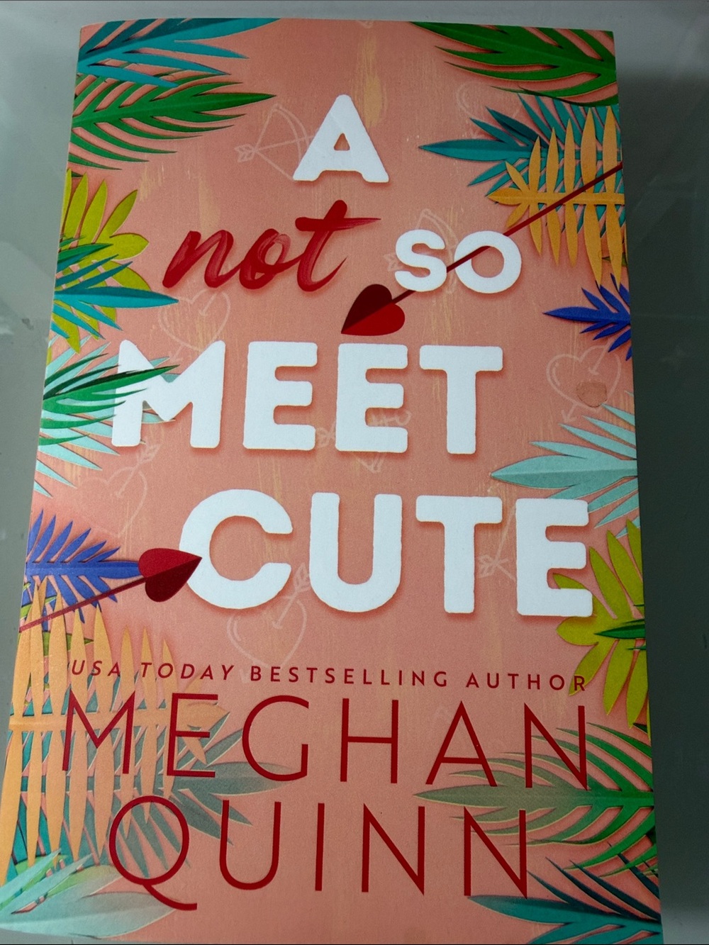 A Not So Meet Cute Book by Meghan Quinn